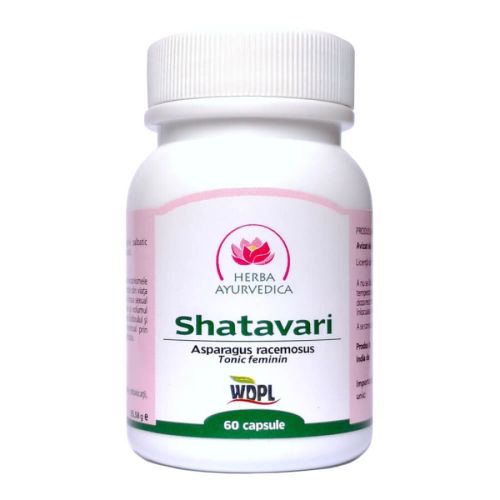 Shatavari, 60 capsule, Herba Ayurvedica