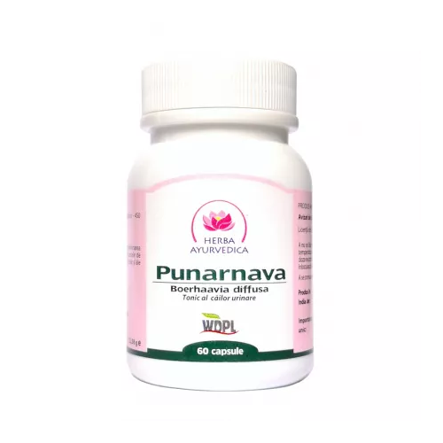 Punarnava, 60 capsule, Herba Ayurvedica