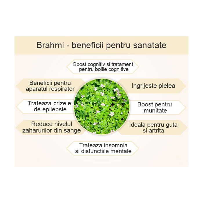 Brahmi 60 capsule Herba Ayurvedica | Bacopa monnieri 500 mg