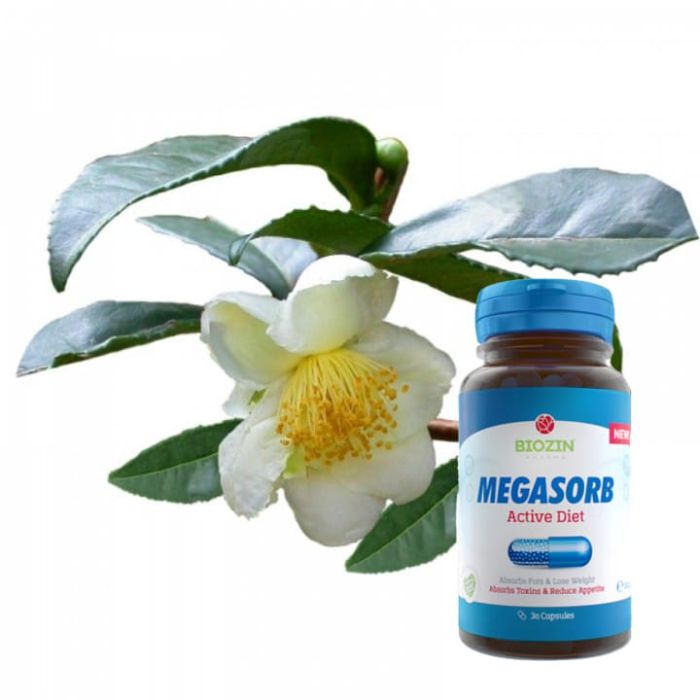 Megasorb Active Diet 30capsule