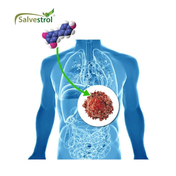 Salvestrol Shield, 500 mg, 60 capsule