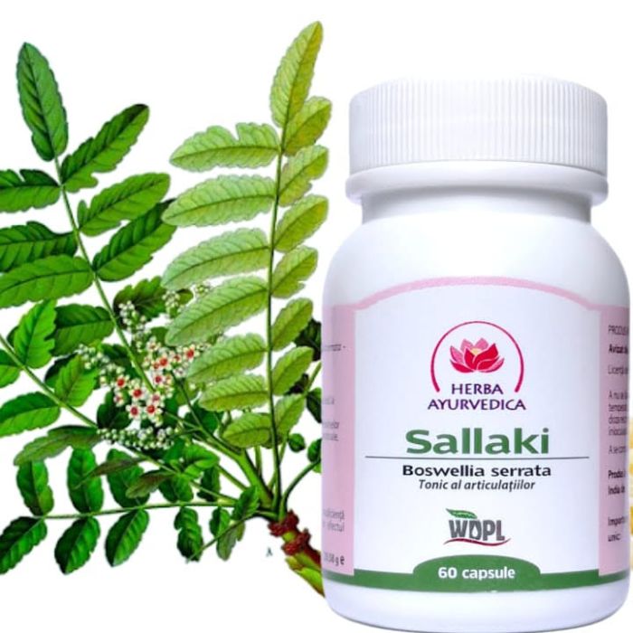 Sallaki, 60 capsule