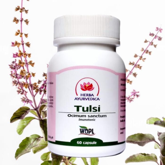 Tulsi, 60 capsule 