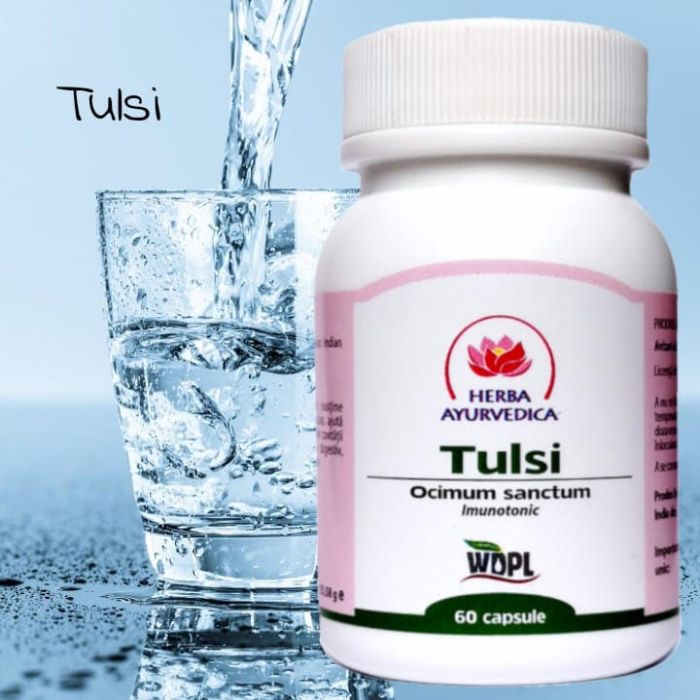Tulsi, 60 capsule 